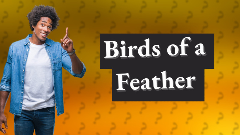 Birds of a Feather