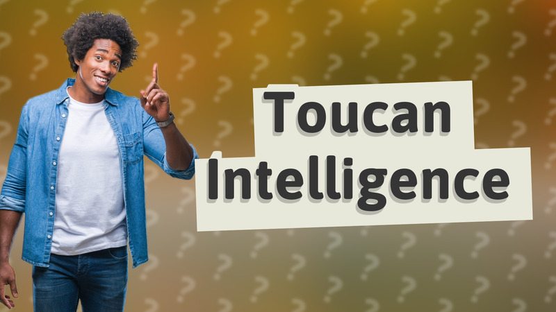 Toucan Intelligence