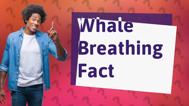 Whale Breathing Fact