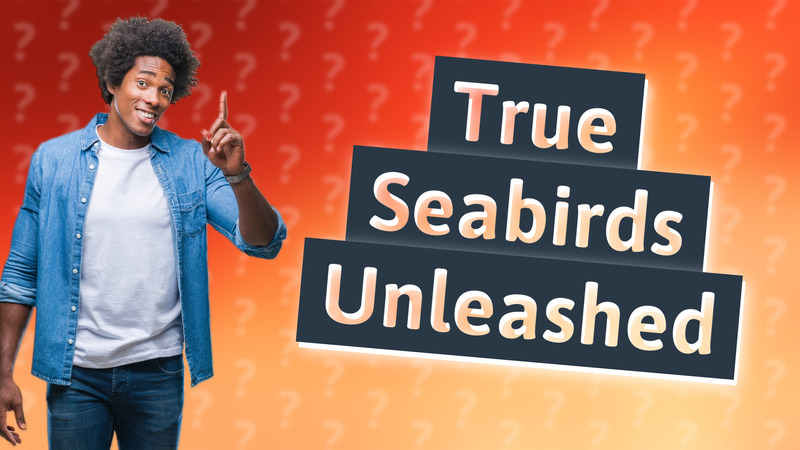 True Seabirds Unleashed