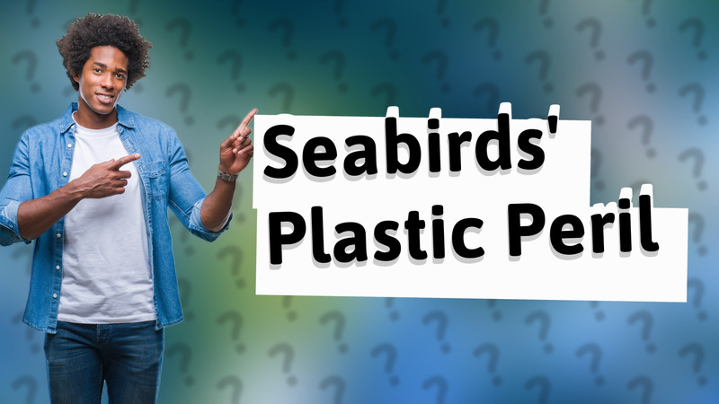 Seabirds' Plastic Peril