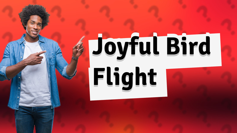 Joyful Bird Flight