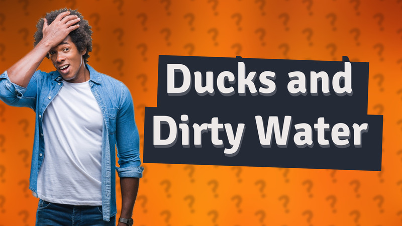 Ducks and Dirty Water