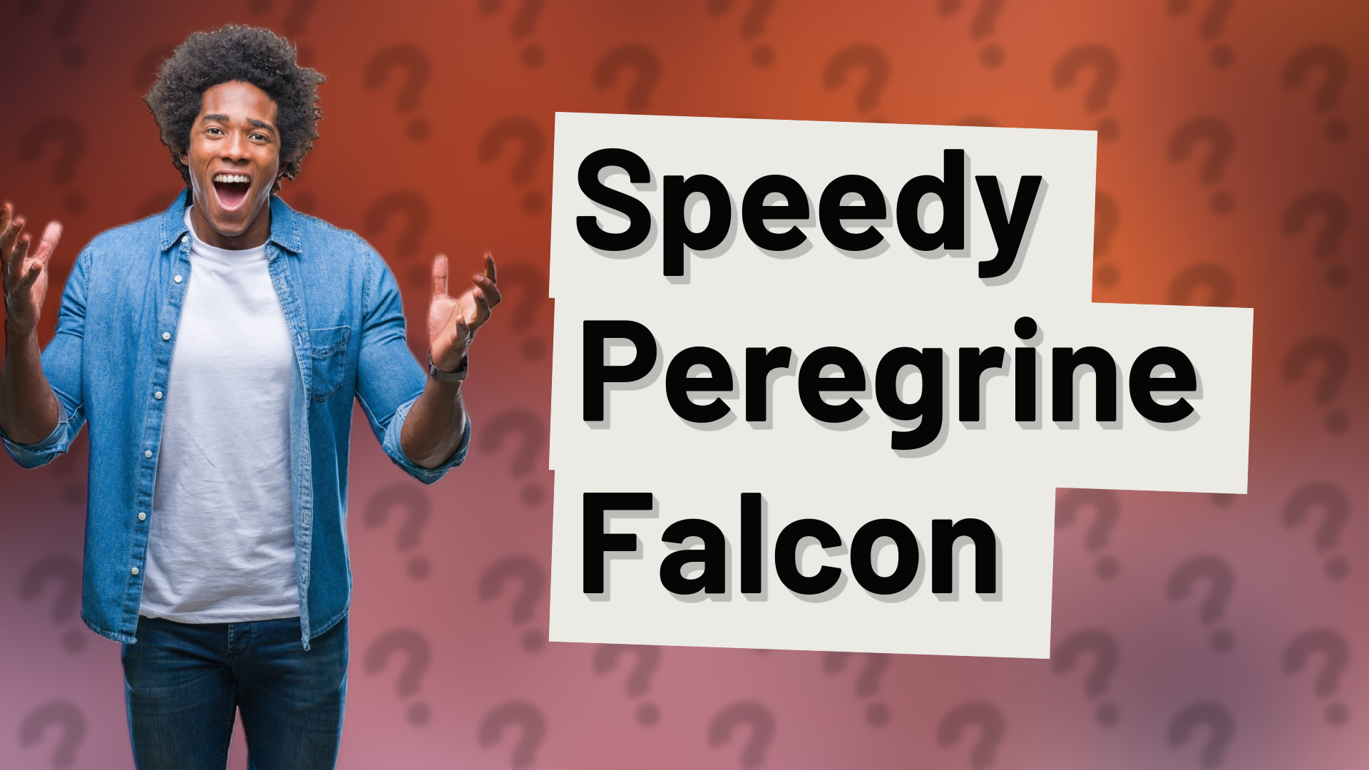 Speedy Peregrine Falcon