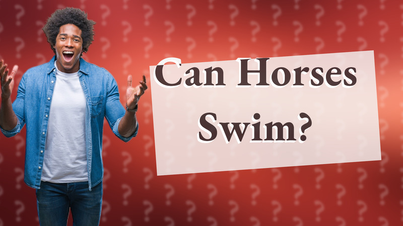 Can Horses Swim?