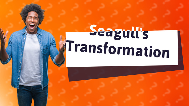 Seagull's Transformation
