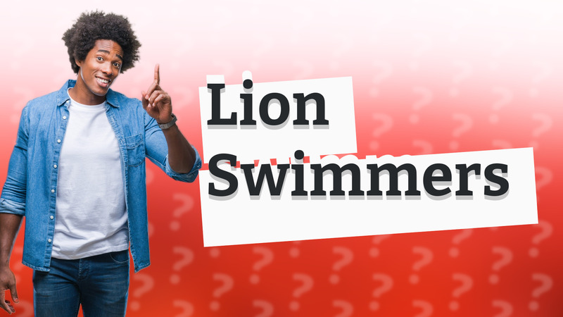 Lion Swimmers