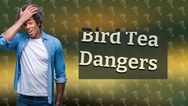 Bird Tea Dangers