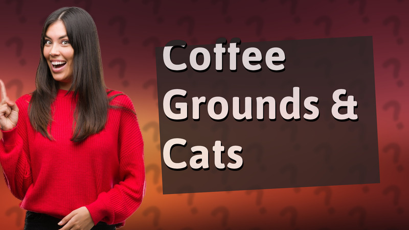 Coffee Grounds & Cats