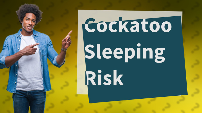 Cockatoo Sleeping Risk