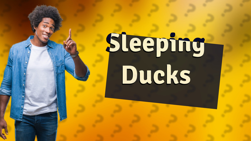 Sleeping Ducks