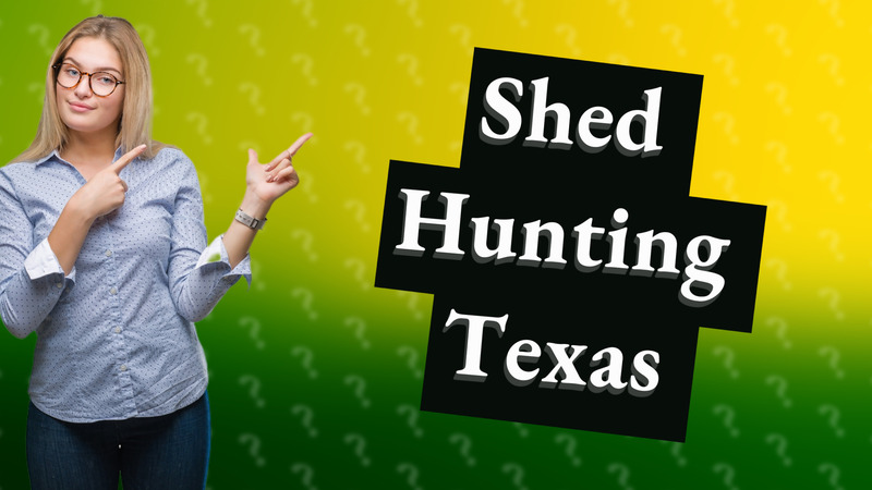 Shed Hunting Texas