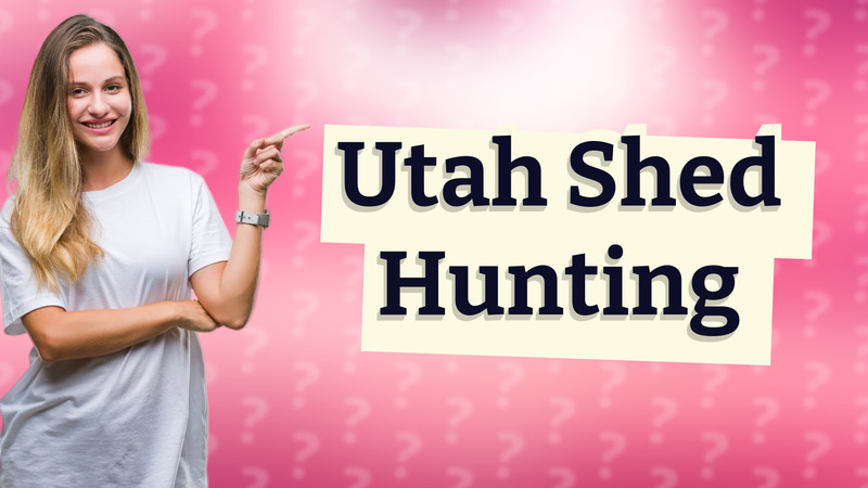 Utah Shed Hunting