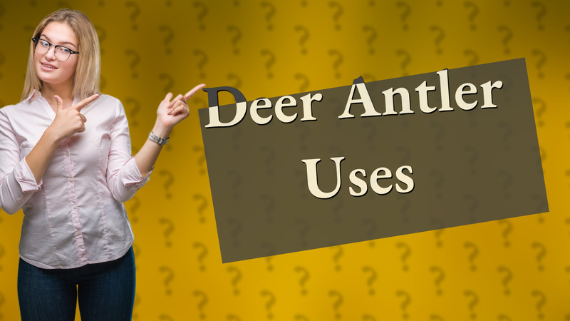 Deer Antler Uses