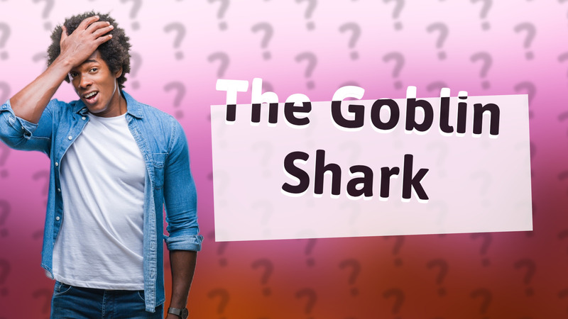 The Goblin Shark