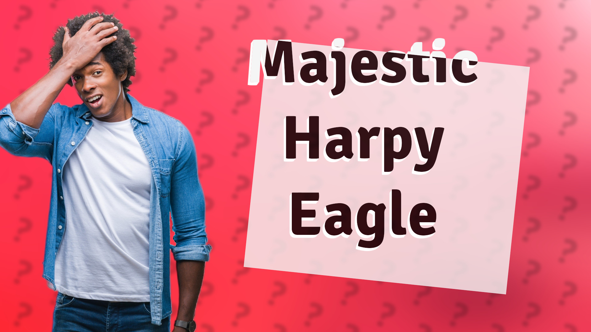 Majestic Harpy Eagle