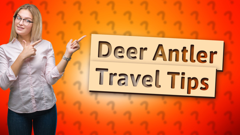 Deer Antler Travel Tips