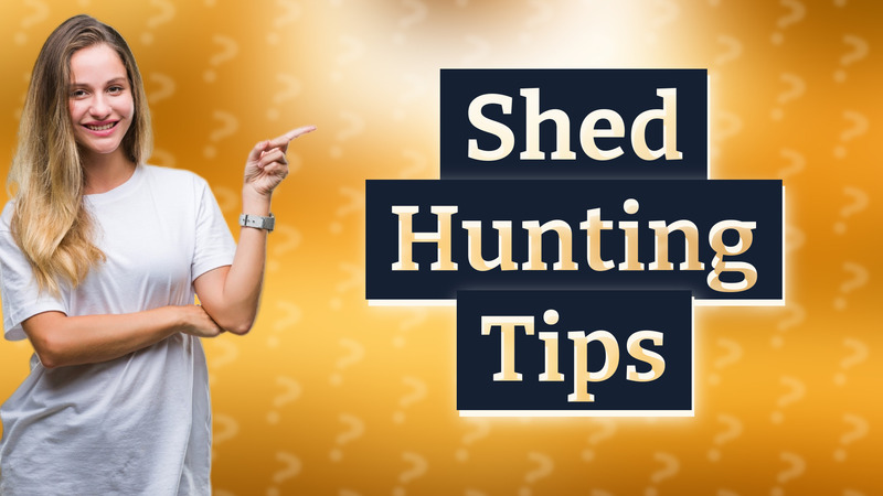 Shed Hunting Tips