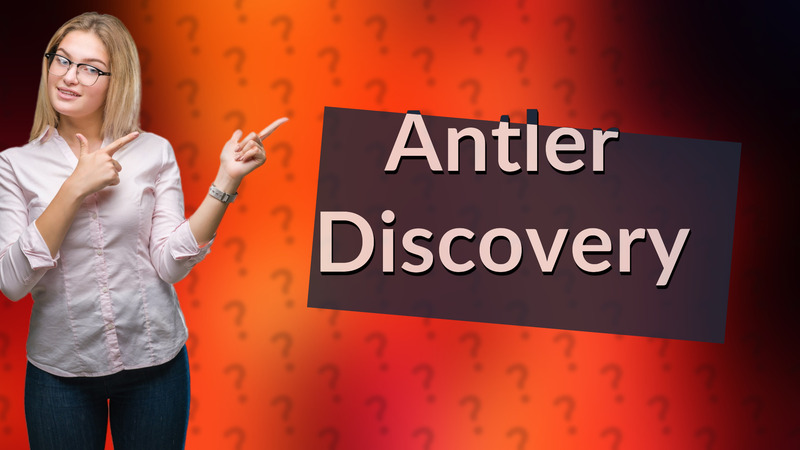Antler Discovery