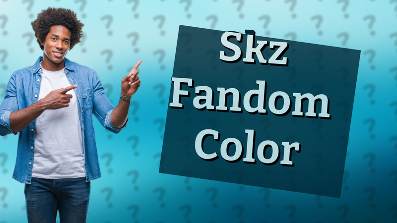 Skz Fandom Color