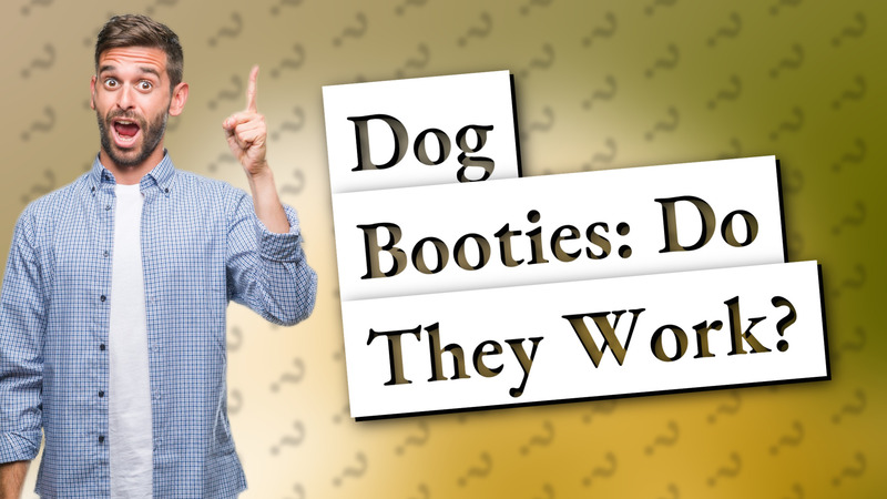 Dog Booties: Do They Work?