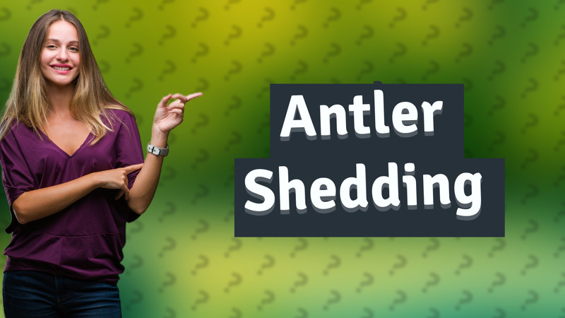 Antler Shedding