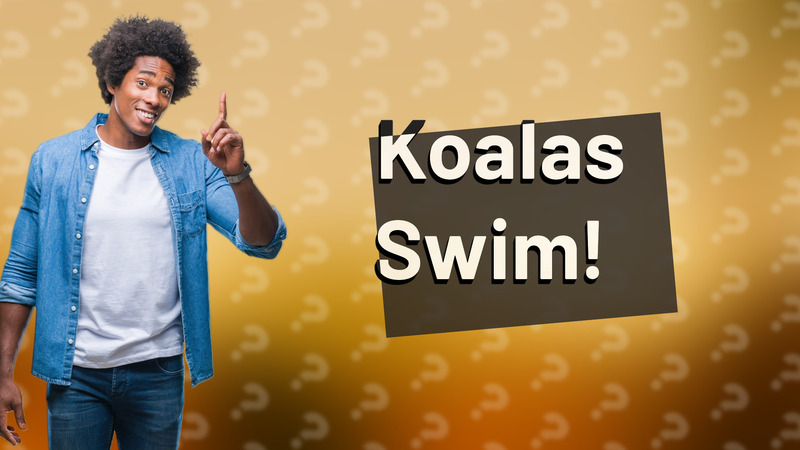 Koalas Swim!