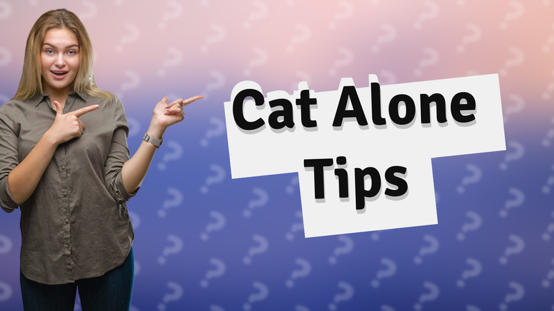 Cat Alone Tips