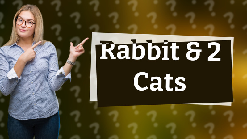 Rabbit & 2 Cats