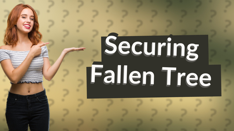 Securing Fallen Tree