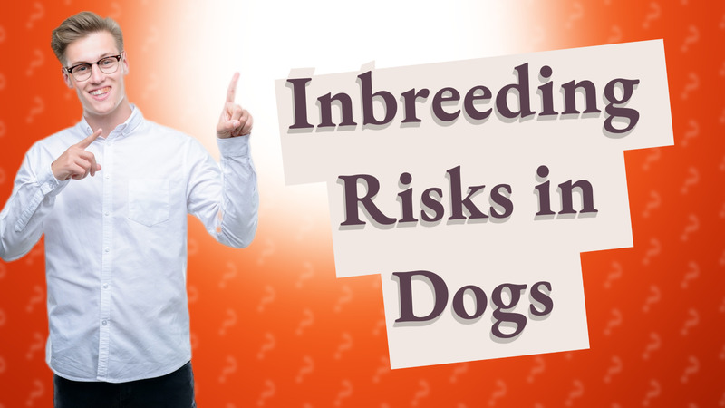 Inbreeding Risks in Dogs