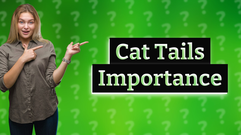 Cat Tails Importance