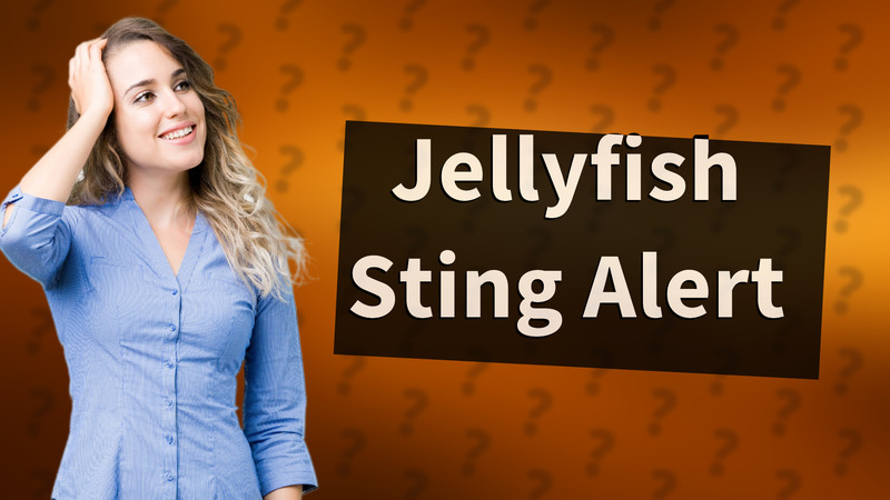 Jellyfish Sting Alert