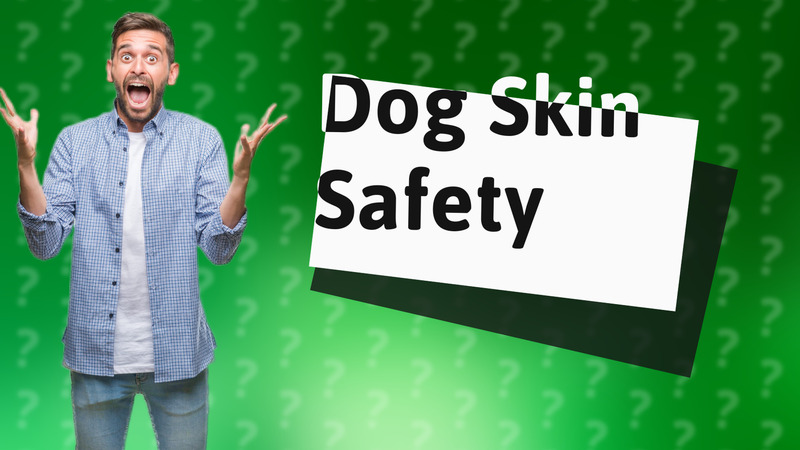 Dog Skin Safety