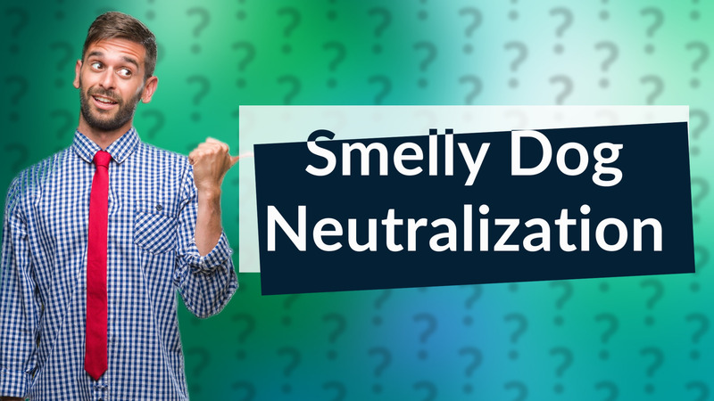 Smelly Dog Neutralization