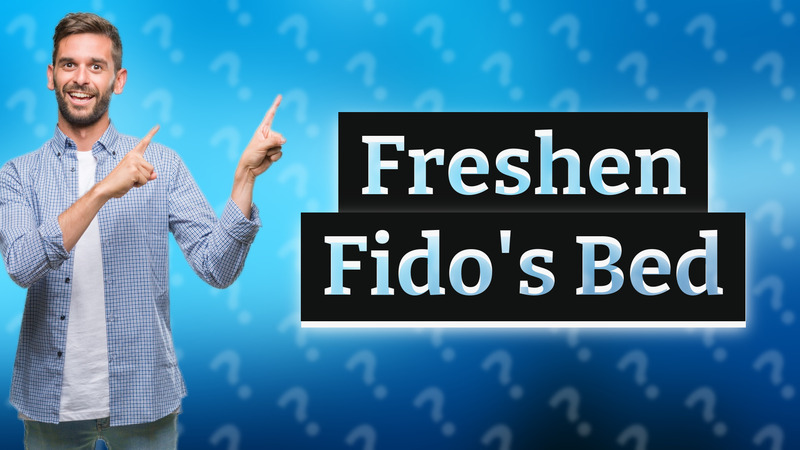 Freshen Fido's Bed