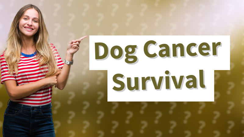 Dog Cancer Survival