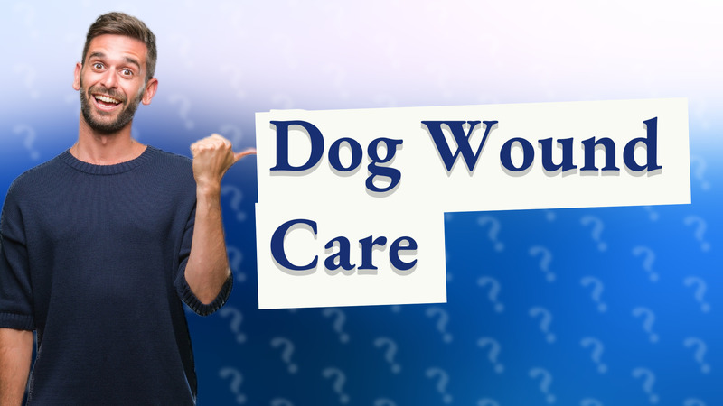 Dog Wound Care