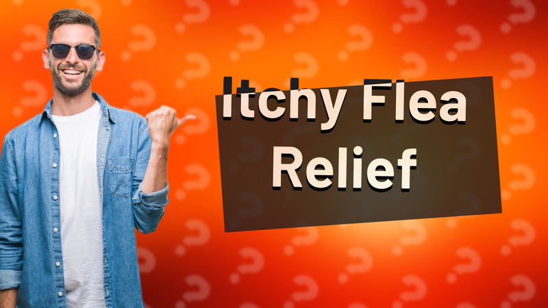 Itchy Flea Relief