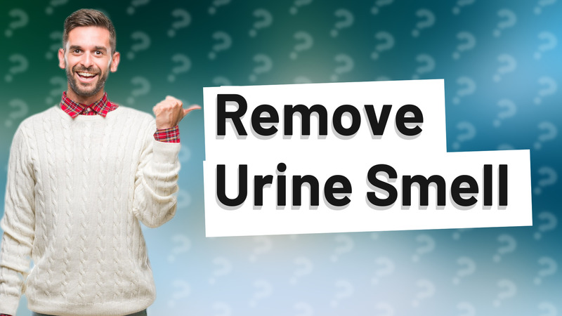 Remove Urine Smell