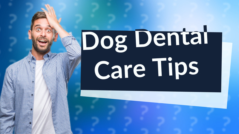 Dog Dental Care Tips