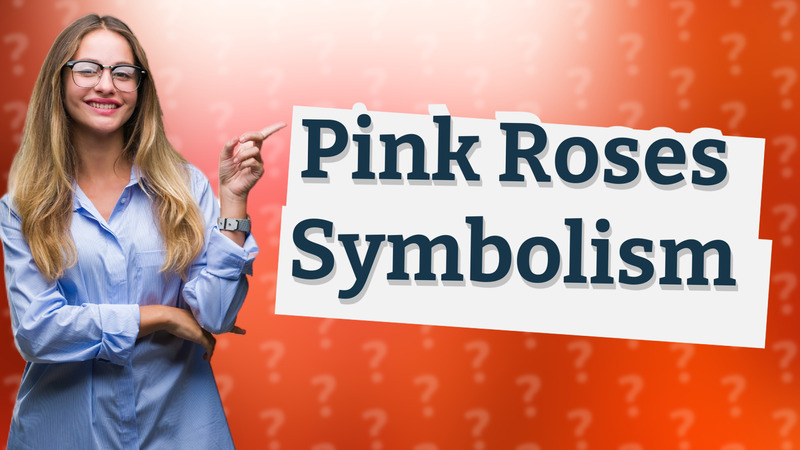 Pink Roses Symbolism