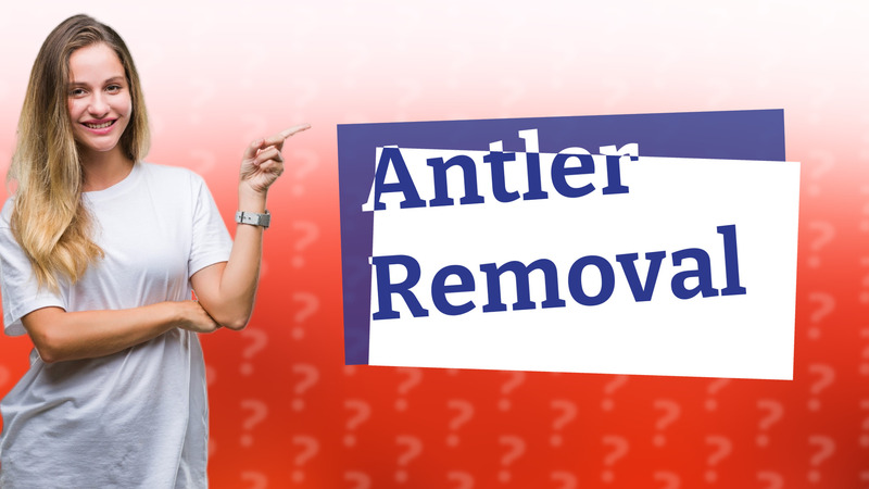Antler Removal