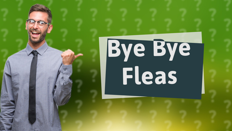 Bye Bye Fleas