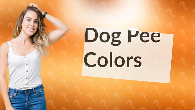 Dog Pee Colors
