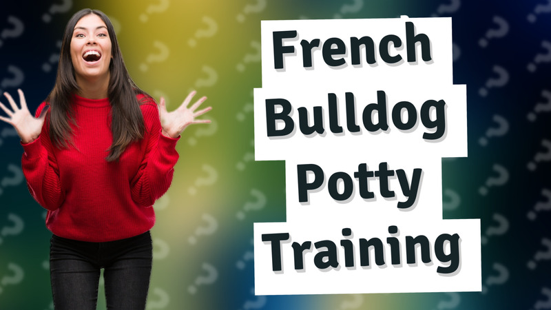 French Bulldog Potty Training
