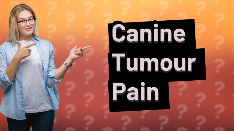 Canine Tumour Pain