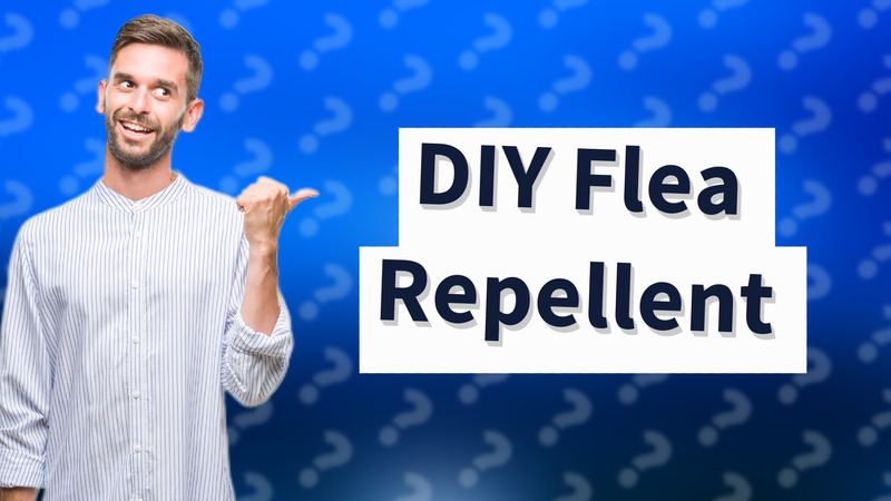 DIY Flea Repellent