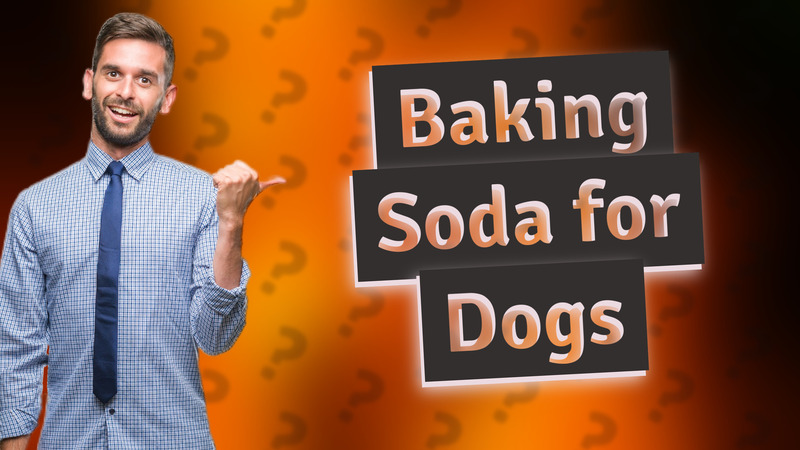Baking Soda for Dogs