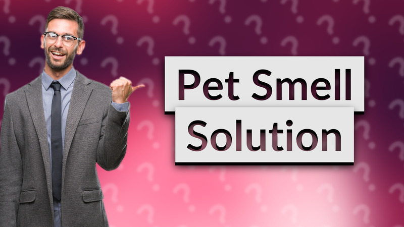 Pet Smell Solution
